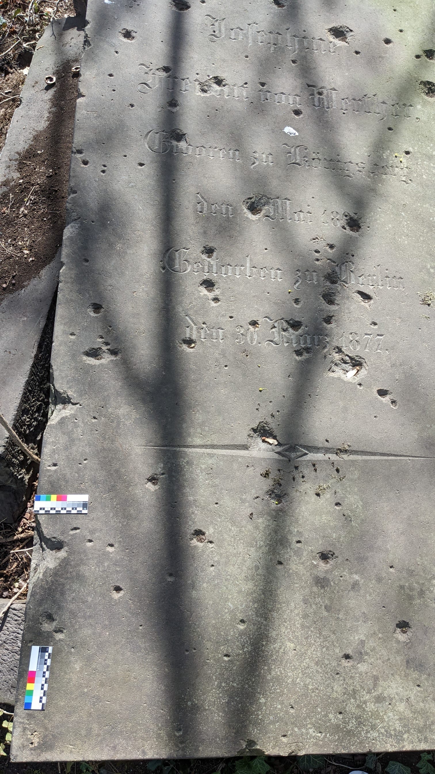 Liegende Grabplatten am französischen Friedhof (MILIE01)