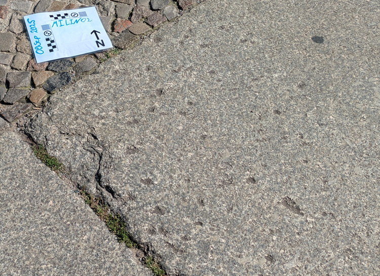 Linienstr. 43 (MILIN02)