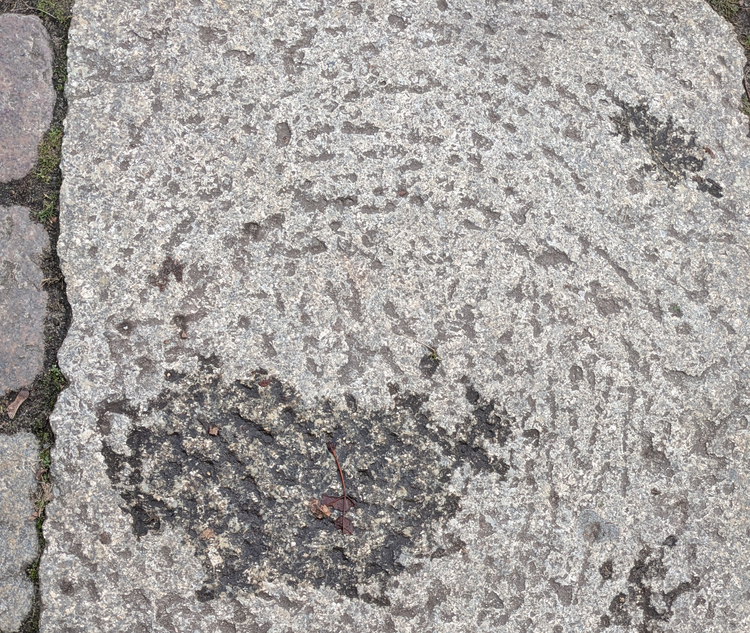 Humboldt Universität, Campus Nord (MILUI01)