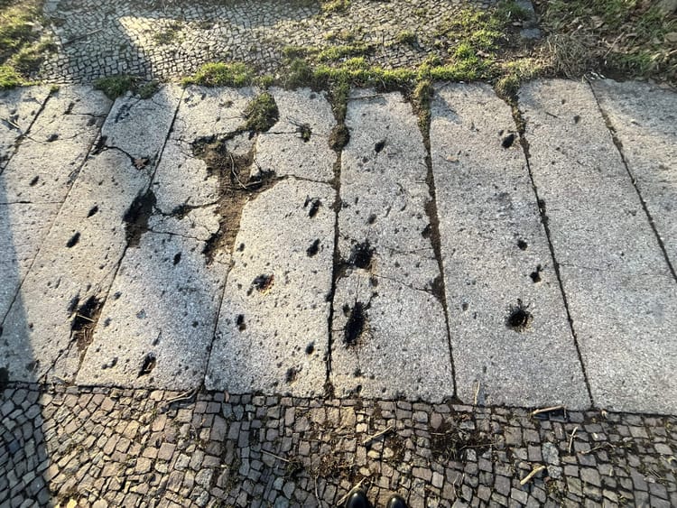 Leipzig Ferdinand-Rhode-Str., Flurstück 4142 (LPFRS01)