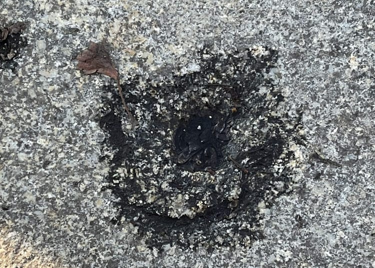 Leipzig Grassistraße, Flurstück 4137 (LPGRA01)