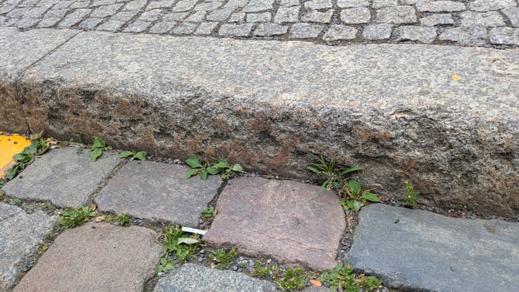 Am Kupfergraben ggü. Dorotheenstr. (MIAMK01)
