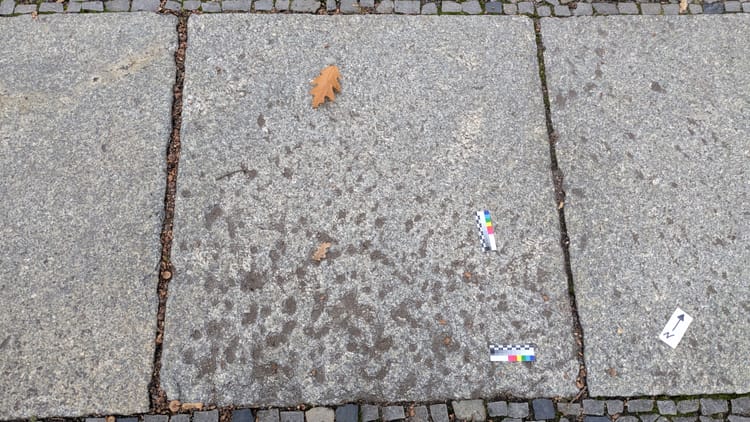 Wundstr. 46 (CBWUN01)