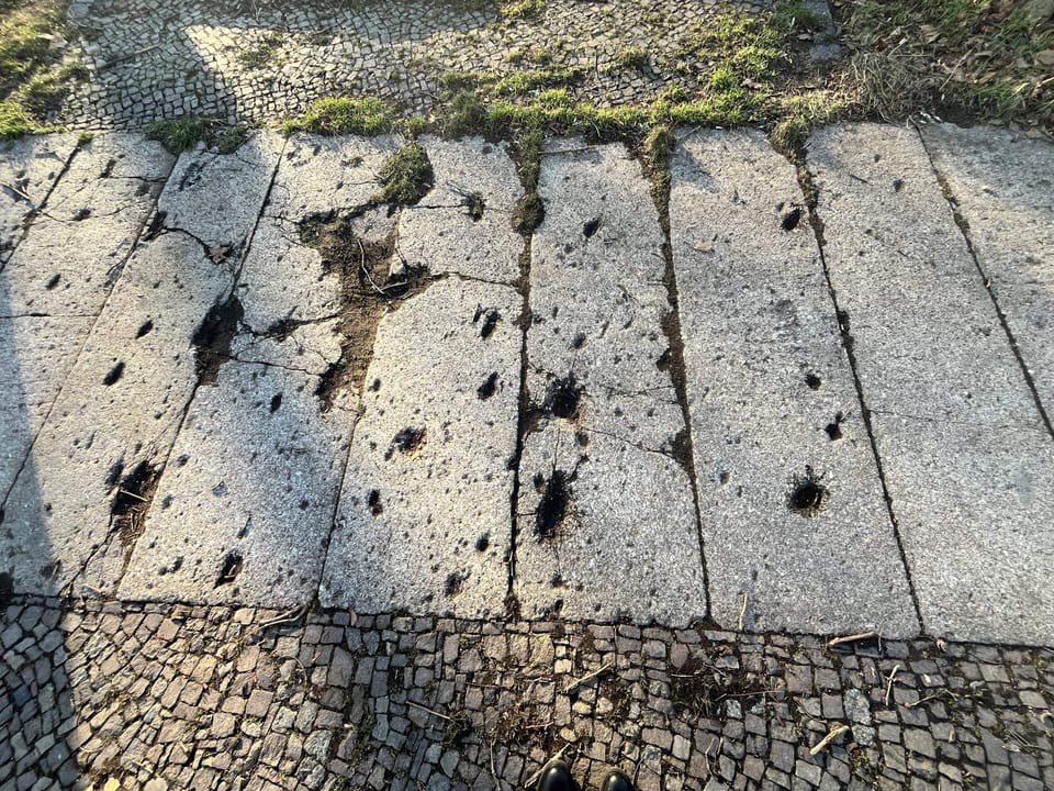 Leipzig Ferdinand-Rhode-Str., Flurstück 4142 (LPFRS01)