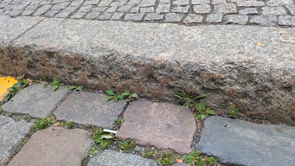 Am Kupfergraben ggü. Dorotheenstr. (MIAMK01)